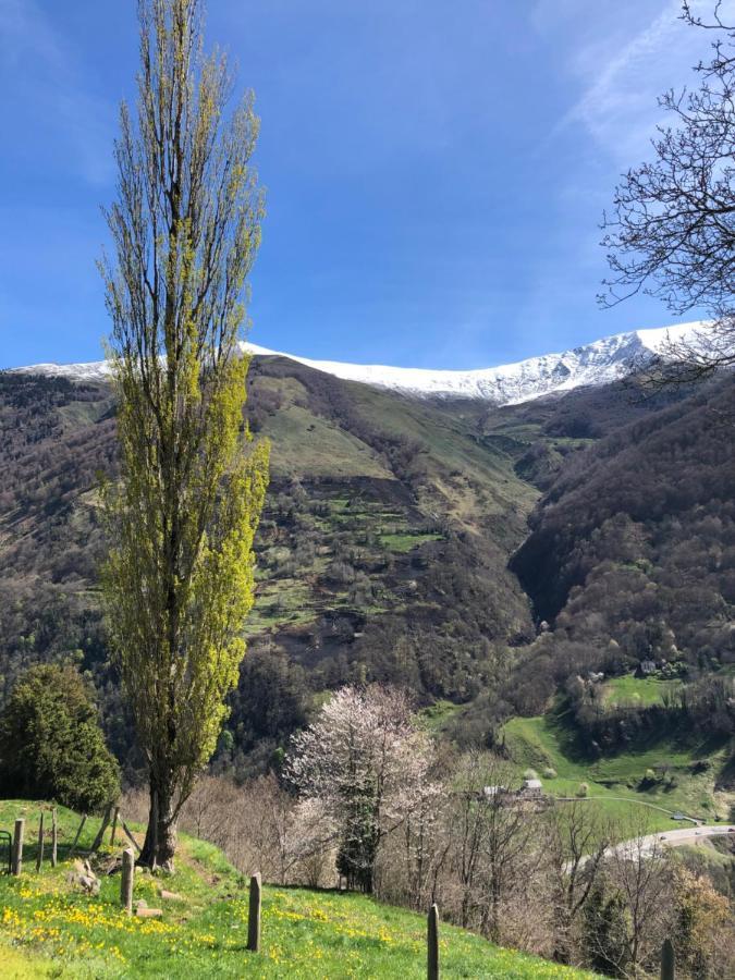 Maison De Montagne Borce Eksteriør bilde